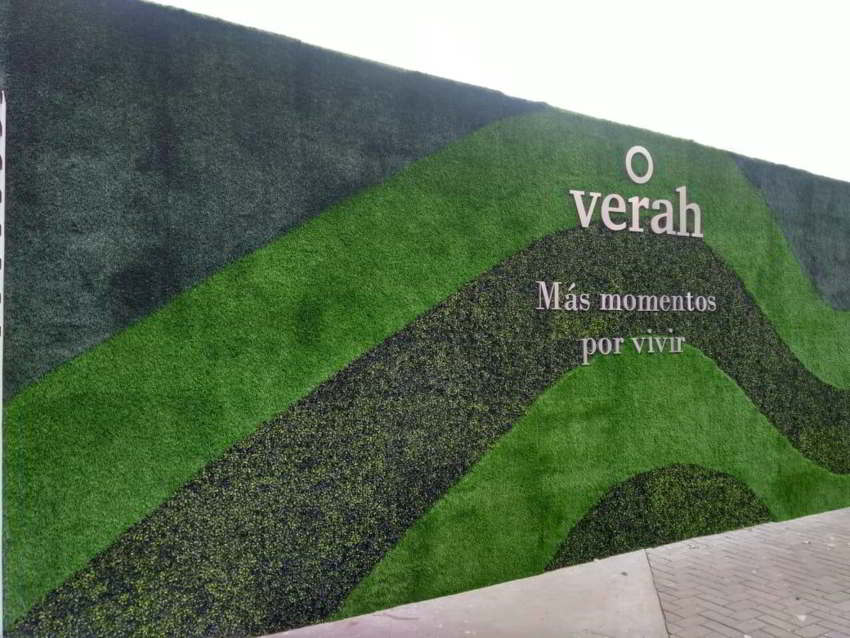 mini image 2022-05-16 at 9.34.20-2